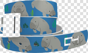 Manatee Clipart Top Hat   Dugong  HD Png Download