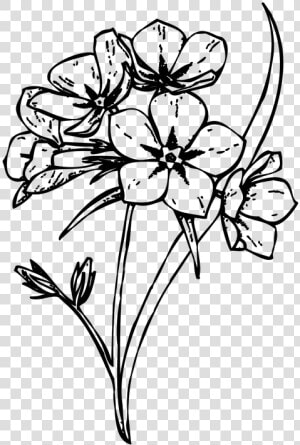 Floral Design  m 02csf Cut Flowers Drawing   Flower Clipart Black And White Transparent Background  HD Png Download