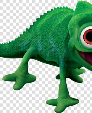 Tangled Chameleon  HD Png Download