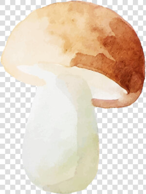 Shiitake  HD Png Download