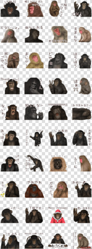 Real Monkey Sticker Of Zumo   Easy Tattoos For Kids To Draw  HD Png Download