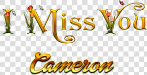 Cameron Miss You Name Png   Love You Kanchan Name  Transparent Png