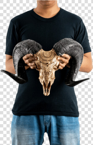 Carved Ram Skull   Bull  HD Png Download