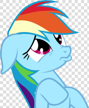 Transparent Begging Please Clipart   Rainbow Dash Cute Meme  HD Png Download