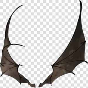 Bat Wing Wings Batwing Batwingsfreetoedit   Small Dragon Wings Mmd  HD Png Download