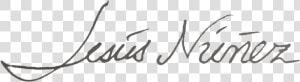 Firmas Png Sin Fondo  Transparent Png