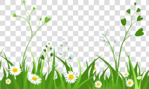 Download Daisies With Grasspicture Png Images Background   Garden Clipart Transparent Background  Png Download