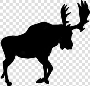  silhouette  moose  horns  shadow  animal  antlers   Horse Clip Art Silhouette  HD Png Download