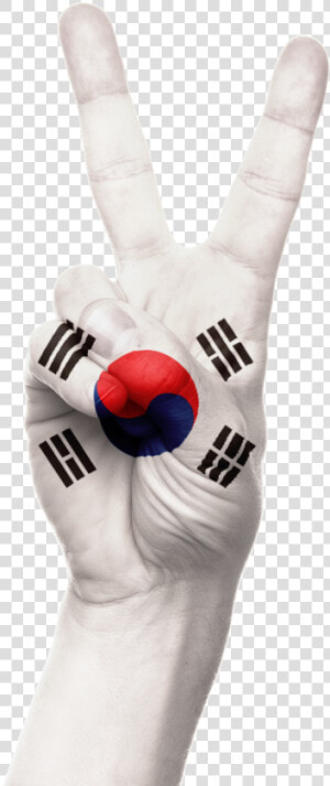 Hand South Korea Flag   South Korea Flag  HD Png Download