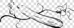 Zucchini Png Black And White  Transparent Png