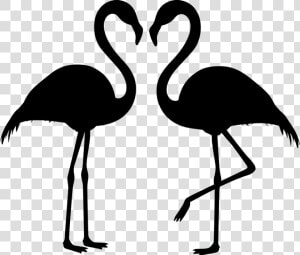 Flamingo Couple  Silhouette  Flamingos  Love  Bird   Svg Free Flamingo Svg  HD Png Download