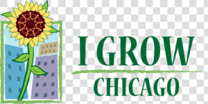 Transparent Chicago   Grow Chicago  HD Png Download