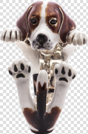 Beagle  HD Png Download