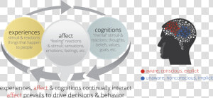 Emotional Dynamic Diagram   Emotional Dynamics  HD Png Download