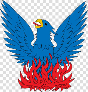 Phoenix Bird Png   Phoenix Heraldry Png  Transparent Png