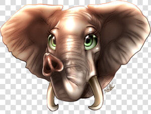 Beautiful Eyes  How Time Flies    Indian Elephant  HD Png Download