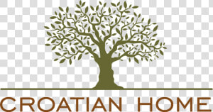 Croatian Home Logo   Olive Tree Silhouette Png  Transparent Png