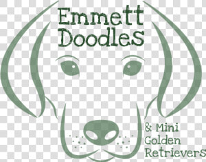 Emmett Goldendoodles And Mini Golden Retrievers   English Foxhound  HD Png Download