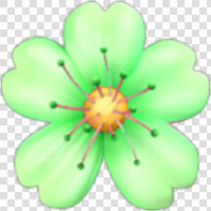  green  flower  emoji  tumblr  kawaii   Emoji De Flor Rosa  HD Png Download