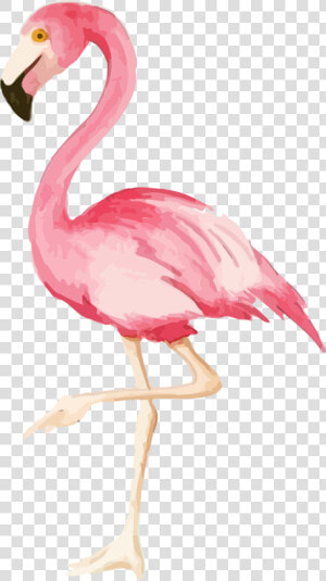 Watercolor Flamingo Print Flamingo Party Png   Iphone Flamingo  Transparent Png