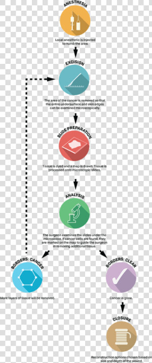 A Look At Mohs Surgery Procedure Steps  HD Png Download