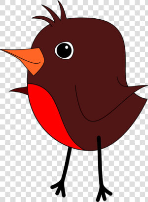 Robin S   Robin Bird Face Clip Art  HD Png Download