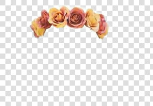  autumn  fall  roses  flowercrown  crown   Flower Crown Cut Out  HD Png Download