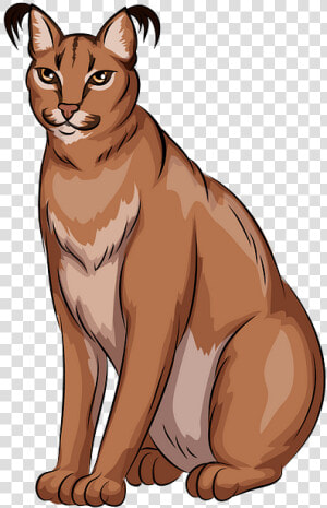 Caracal Clipart  HD Png Download