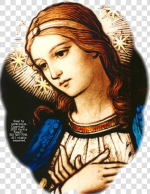 Blessed Virgin Mary S Nativity   Ave Maria Stained Glass  HD Png Download