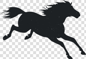 Mustang Pony Animal   Stallion  HD Png Download