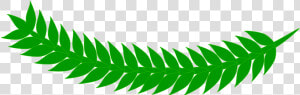 Leaf Grass Green Free Photo   Hoja De Hierba Png  Transparent Png