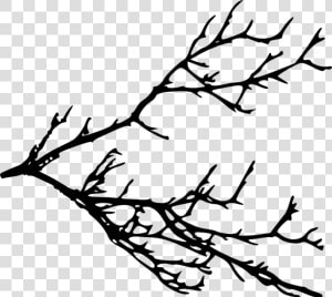 Free Png Tree Branches Silhouette Png Images Transparent   Clip Art Tree Branches  Png Download