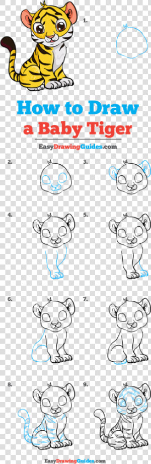 Transparent Baby Tiger Png   Easy How To Draw A Baby Tiger  Png Download