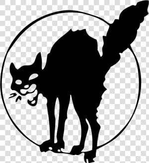 Anarchist Black Cat Tattoo  HD Png Download