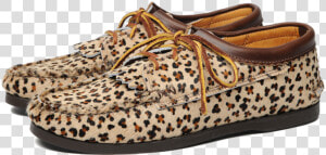 15331km Blucher W Kiltie W Camp Sole B Leopard   Sneakers  HD Png Download