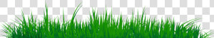 Grass Clipart Png Image 07   Sweet Grass  Transparent Png