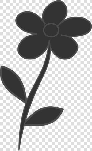 Black  Leaf  Flower  Flora  HD Png Download