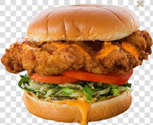 Chicken Sandwich Photo   Golden Fried Chicken Sandwich Habit  HD Png Download