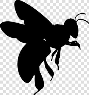 Silhueta  Abelha  Asas  Inseto  Mel  Besouro  Inseto   Honey Bee Silhouette Transparent  HD Png Download