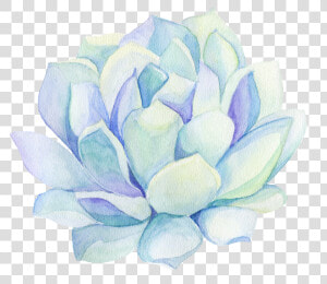 Freetoedit Ftestickers Watercolor Cactus Flower Decorat  HD Png Download