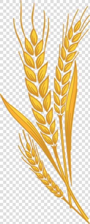 Clip Art Clip Art Wheat   Harvest Wheat Clipart  HD Png Download