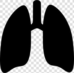 Transparent Lung Clipart   Lungs Svg  HD Png Download