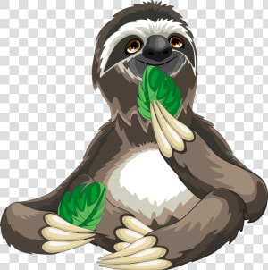 Sloth Cartoon Royalty free   Sloth Png  Transparent Png