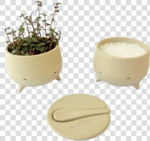 Moli Maceta molcajete De Cerámica   Flowerpot  HD Png Download