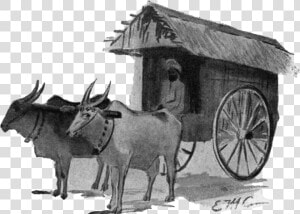 Ox Drawn Covered Wagon  HD Png Download