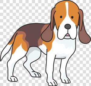 Beagle Puppy Basset Hound Foxhound Clip Art   Beagle Clipart Png  Transparent Png