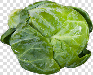 Savoy cabbage   Brussel Sprout Transparent Background  HD Png Download