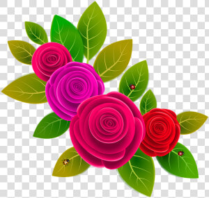 Transparent Ramo De Rosas Png   Racimo De Flores Png  Png Download