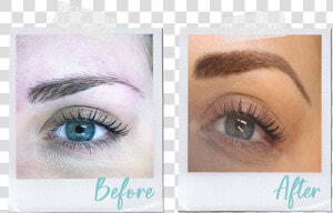 Karen Betts Microblading   Eye Shadow  HD Png Download