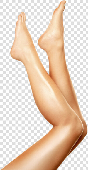 Up Women Legs   Legs Png  Transparent Png